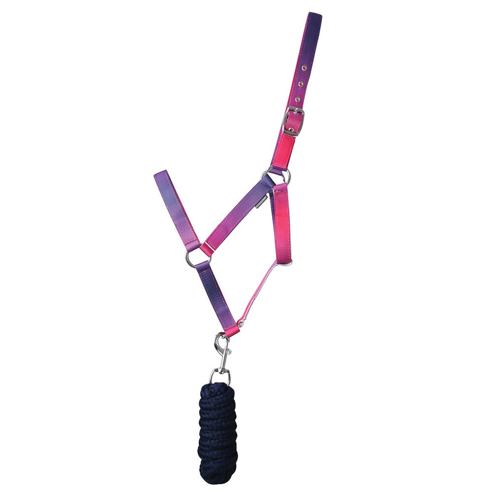 Hy Equestrian Ombre Head Collar &amp; Lead Rope image 5