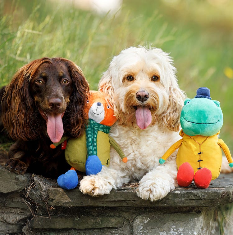 Joules Rope Legs Dog Toy image 4