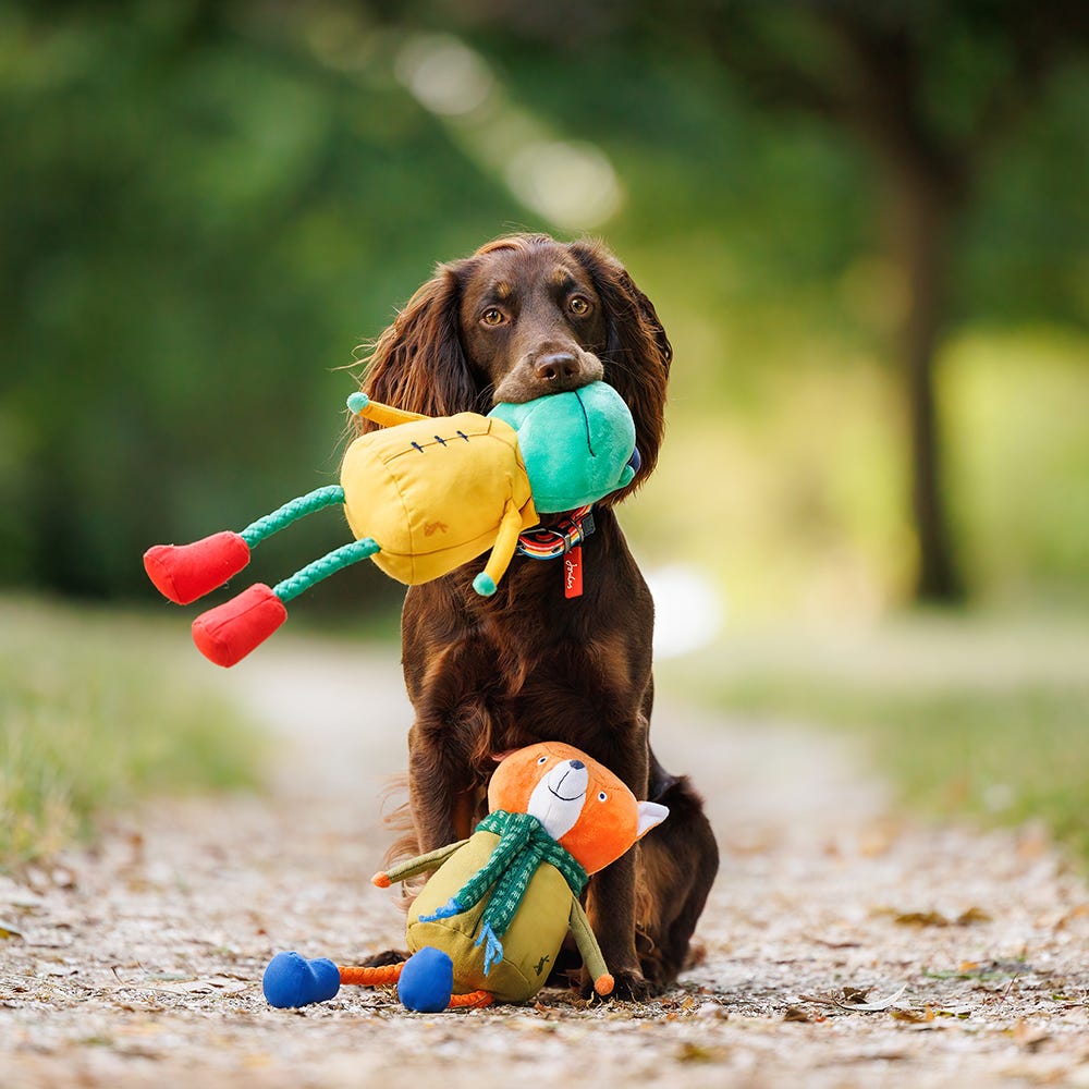 Joules Rope Legs Dog Toy image 5