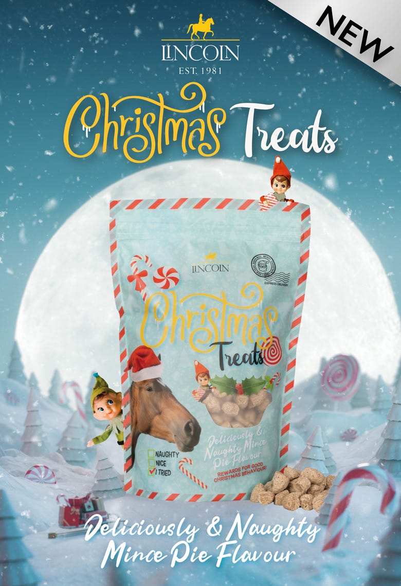 Lincoln Christmas Treats?width=500