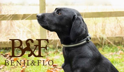 Benji & Flo