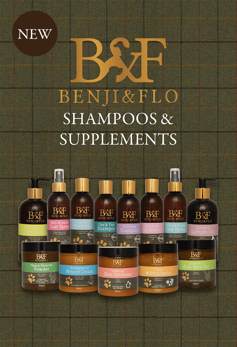 B&F - Shampoo & Supplements ?width=500
