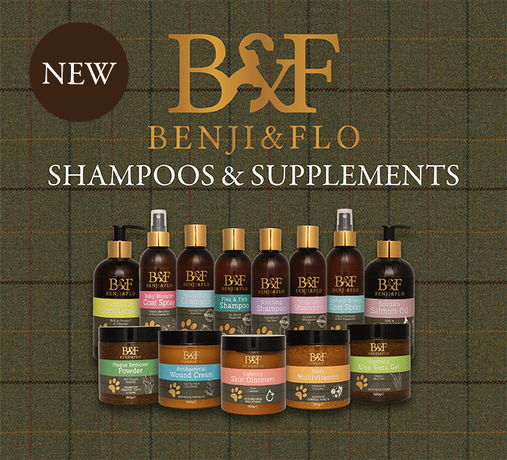B&F - Shampoo & Supplements 