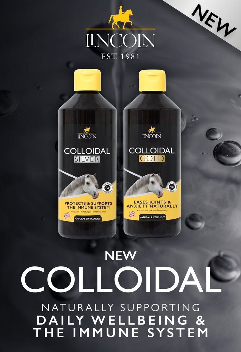 Lincoln Colloidal Silver & Gold ?width=500