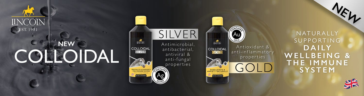 Lincoln Colloidal Silver & Gold 