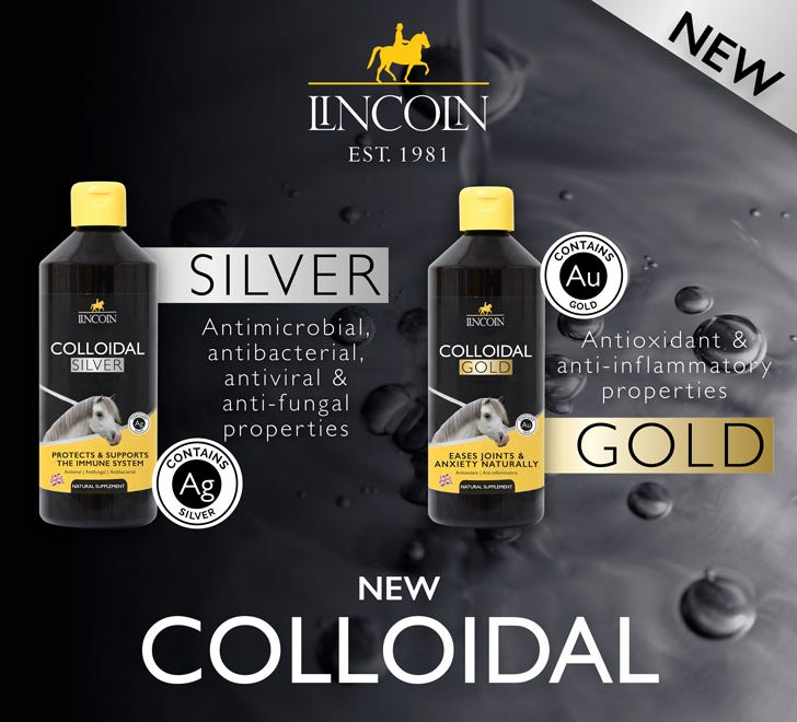 Lincoln Colloidal Silver & Gold 