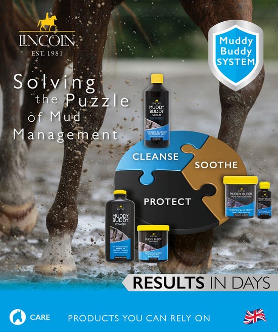 Lincoln - Muddy Buddy