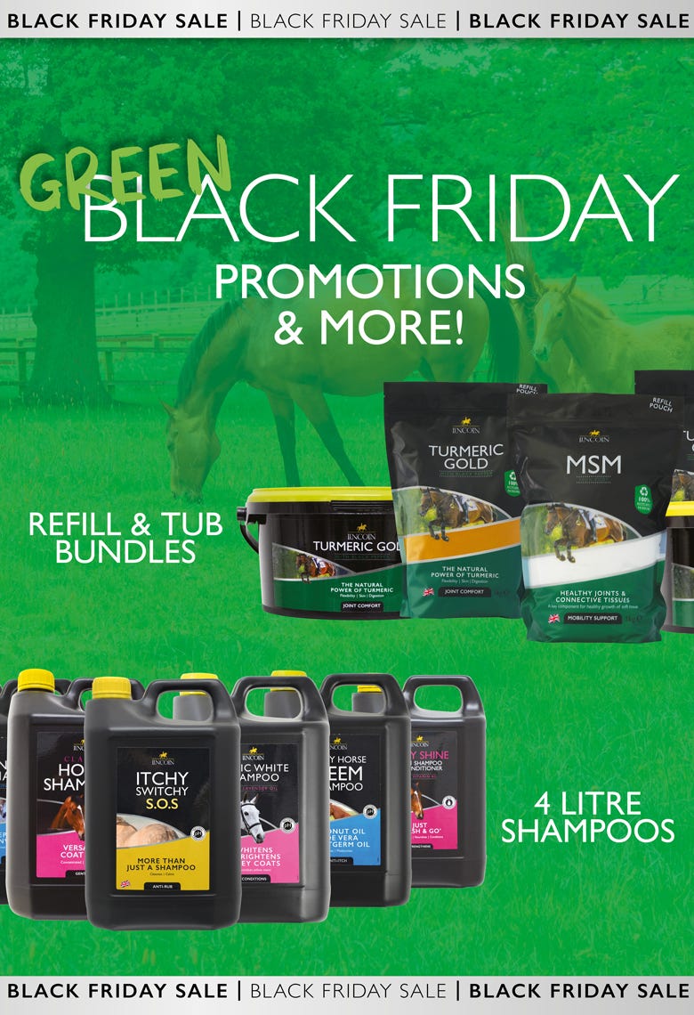 Lincoln - Black Friday 2025?width=500