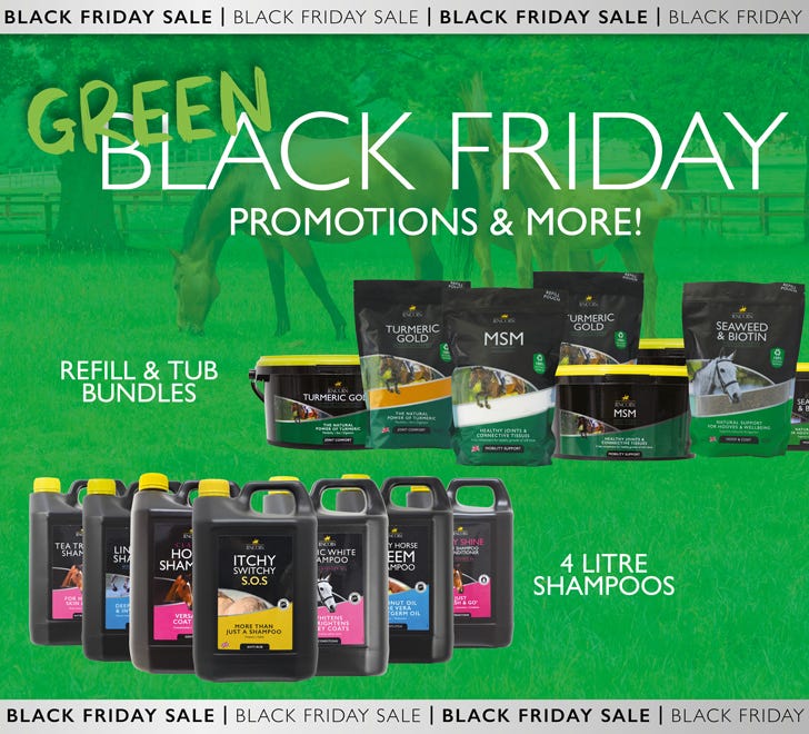 Lincoln - Black Friday 2025