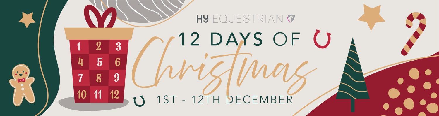 12 Days of Christmas