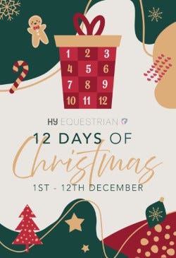 12 Days of Christmas?width=500