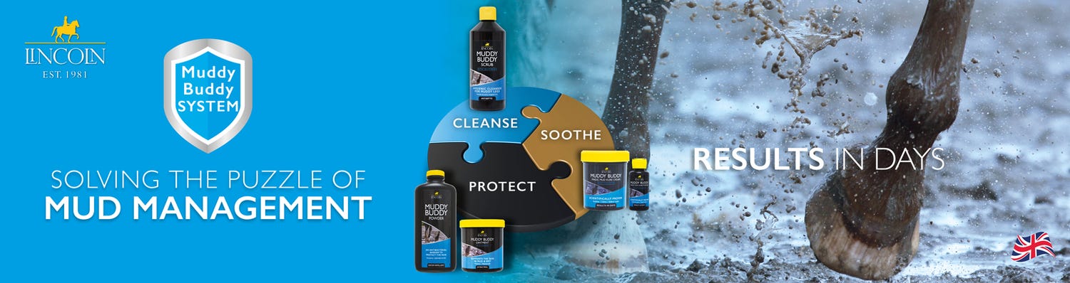 Lincoln - Muddy Buddy 2025