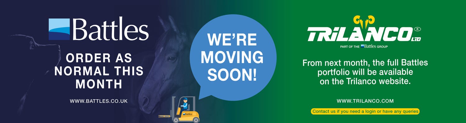 Lambing banner Lincoln